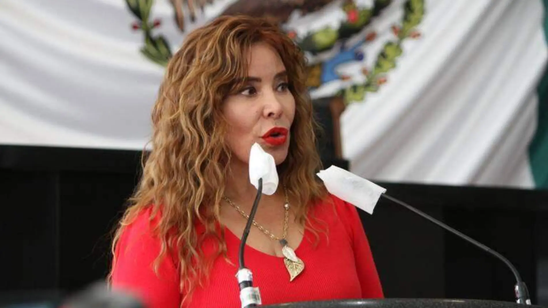 María Antonieta Pérez Reyes